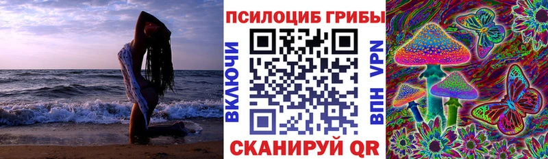 Псилоцибиновые грибы Magic Shrooms Краснодар